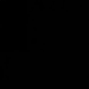 Meet your Posher, Destynee